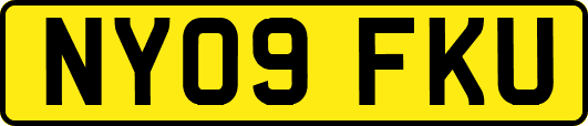 NY09FKU