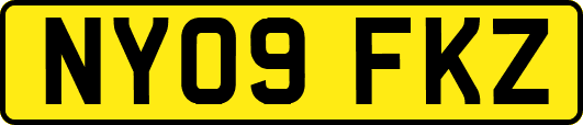 NY09FKZ
