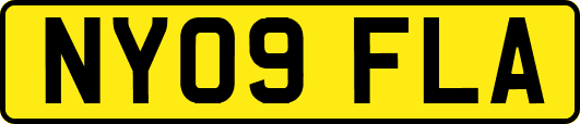 NY09FLA