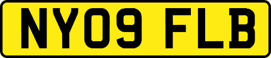 NY09FLB