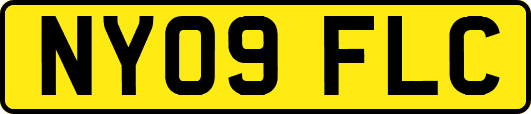 NY09FLC
