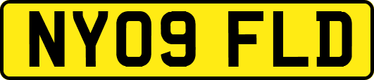 NY09FLD