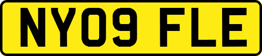 NY09FLE