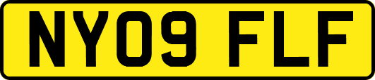 NY09FLF