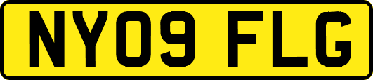 NY09FLG