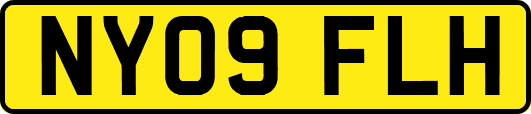 NY09FLH