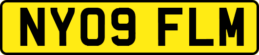 NY09FLM