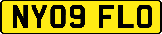 NY09FLO