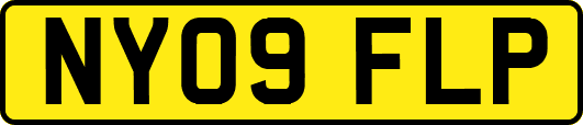 NY09FLP