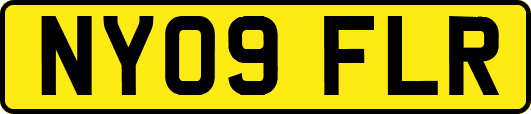 NY09FLR
