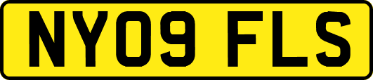 NY09FLS