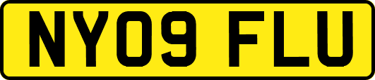 NY09FLU