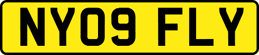NY09FLY