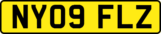 NY09FLZ