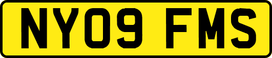 NY09FMS