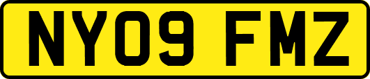 NY09FMZ