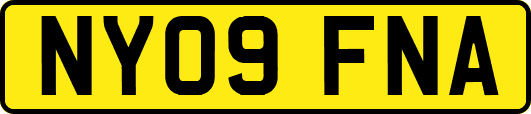 NY09FNA
