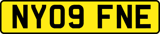 NY09FNE