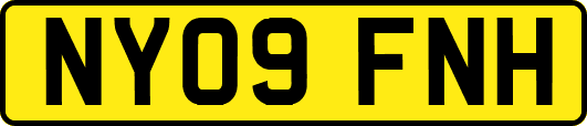 NY09FNH