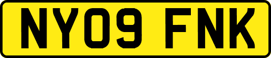 NY09FNK