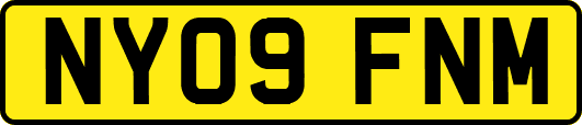 NY09FNM