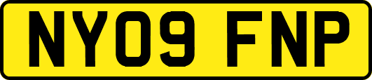 NY09FNP