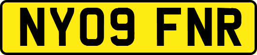 NY09FNR