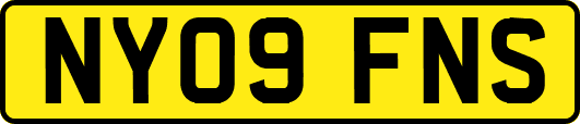 NY09FNS