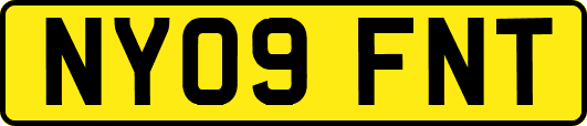 NY09FNT