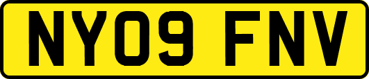 NY09FNV