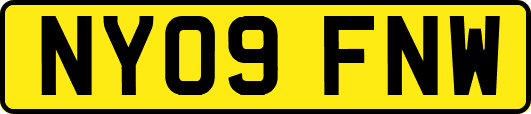 NY09FNW
