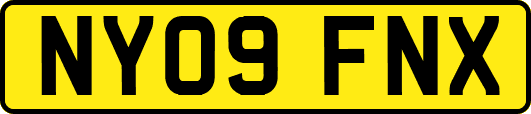 NY09FNX