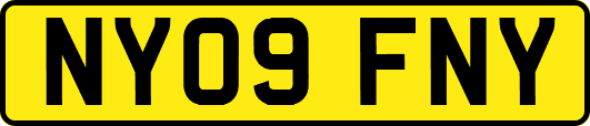 NY09FNY