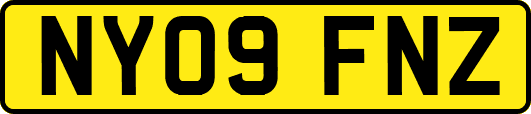 NY09FNZ