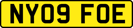 NY09FOE