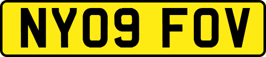 NY09FOV