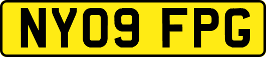 NY09FPG