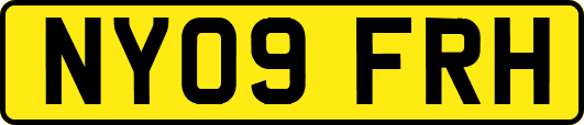 NY09FRH
