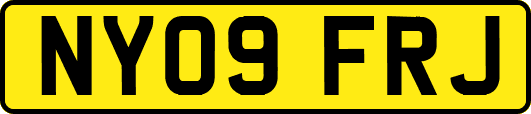 NY09FRJ