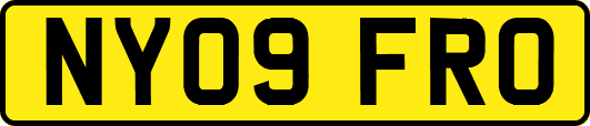 NY09FRO