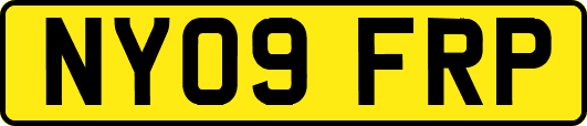 NY09FRP