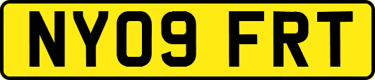 NY09FRT