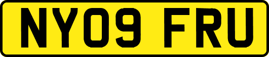 NY09FRU