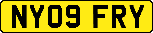 NY09FRY
