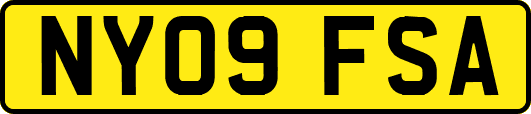 NY09FSA