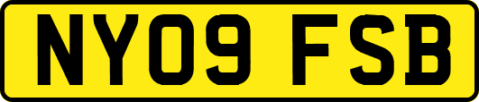 NY09FSB