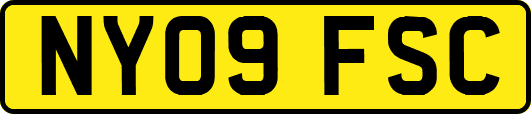 NY09FSC