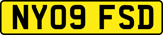 NY09FSD