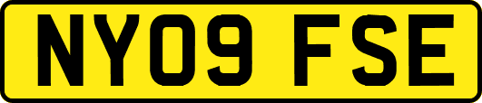 NY09FSE