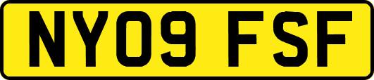 NY09FSF